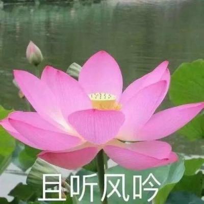 广西深化殡葬改革 节地生态安葬备受认可